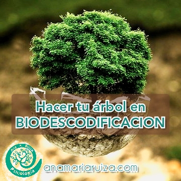 Haz tu árbol familiar en biodescodificación en 4 pasos