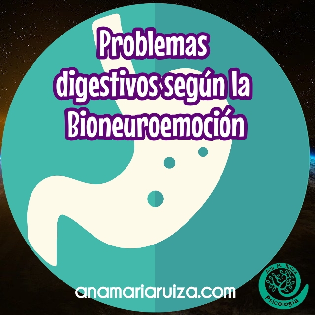 Gases, intolerancias y digestiones pesadas en Bioneuroemocion
